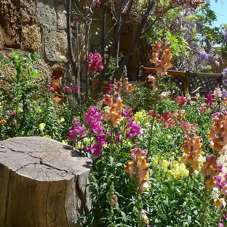 Rural San Miguel - Only Adults Σαν Μιγκέλ ντε Αμπόνα