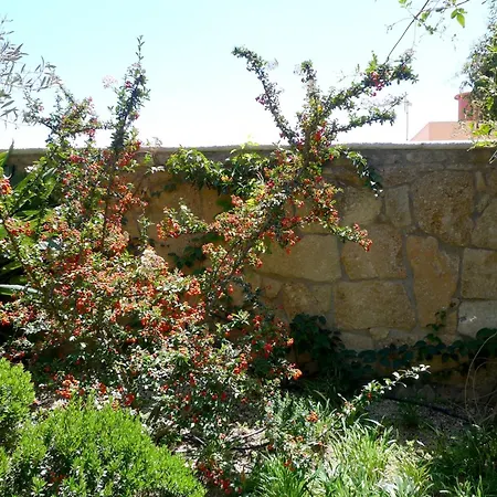 Rural San Miguel - Only Adults Σαν Μιγκέλ ντε Αμπόνα