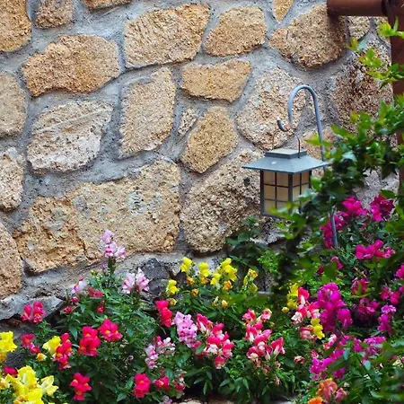 Rural San Miguel - Only Adults Ξενοδοχείο Σαν Μιγκέλ ντε Αμπόνα