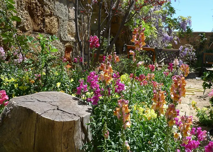 Rural San Miguel - Only Adults San Miguel de Abona