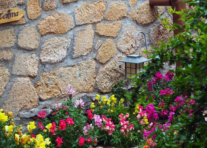 Rural San Miguel - Only Adults Hotel San Miguel de Abona