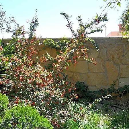 Rural San Miguel - Only Adults Hotel San Miguel de Abona