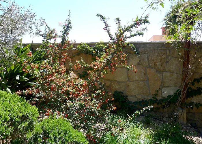 Rural San Miguel - Only Adults San Miguel de Abona