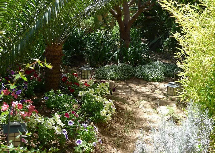 Rural San Miguel - Only Adults