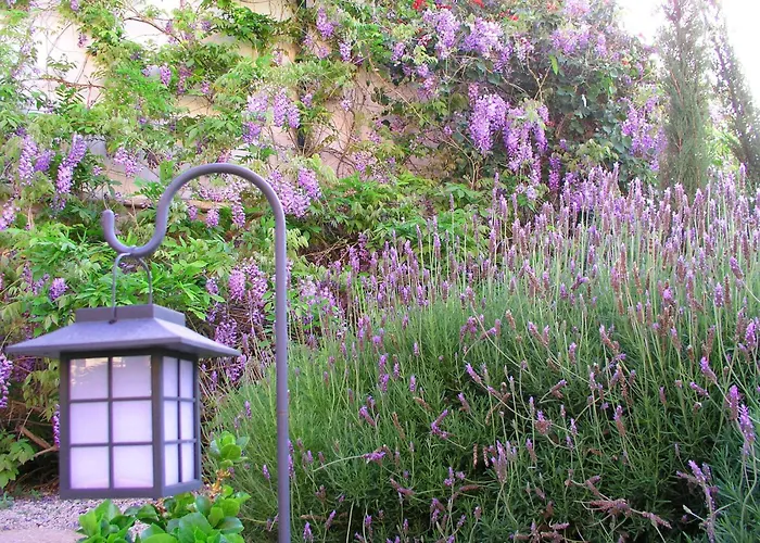 Hotel Rural San Miguel - Only Adults San Miguel de Abona