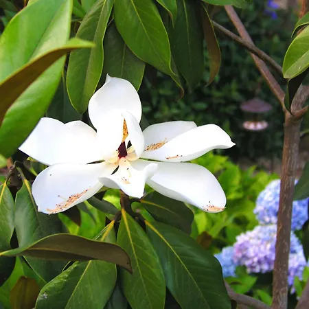 Hotel Rural San Miguel - Only Adults 4*