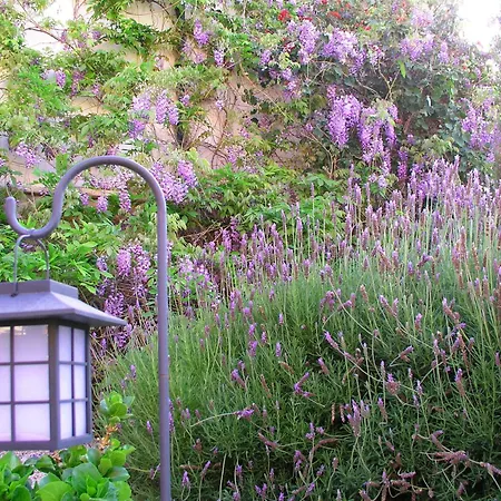 Hotel Rural San Miguel - Only Adults San Miguel de Abona