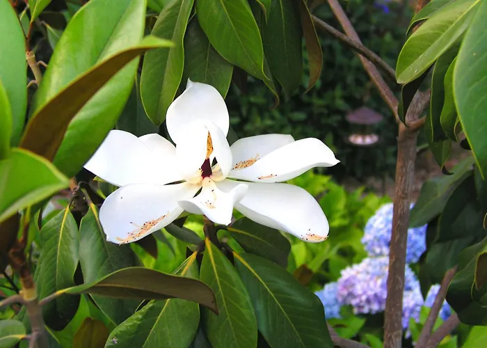 Hotel Rural San Miguel - Only Adults 4*